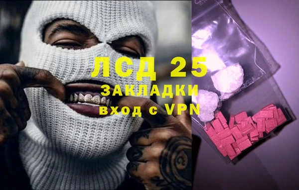 индика Вязьма